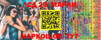 гашик Аргун