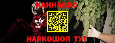 гашик Аргун