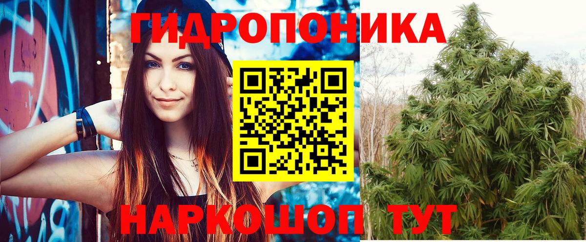 Шишки марихуана семена  Набережные Челны  Бошки Шишки тримм 